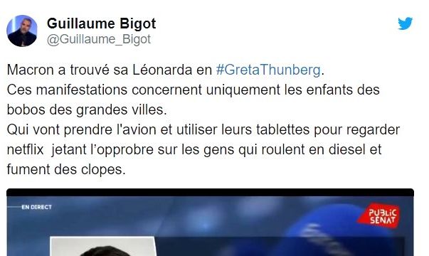 Un des contenus partagés par les "anti" Greta. Tweet - C. Bigot