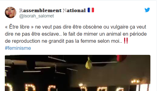 Un des contenus partagés par les antiféministes. Tweet - isorah_salomet